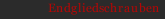 Endgliedschrauben